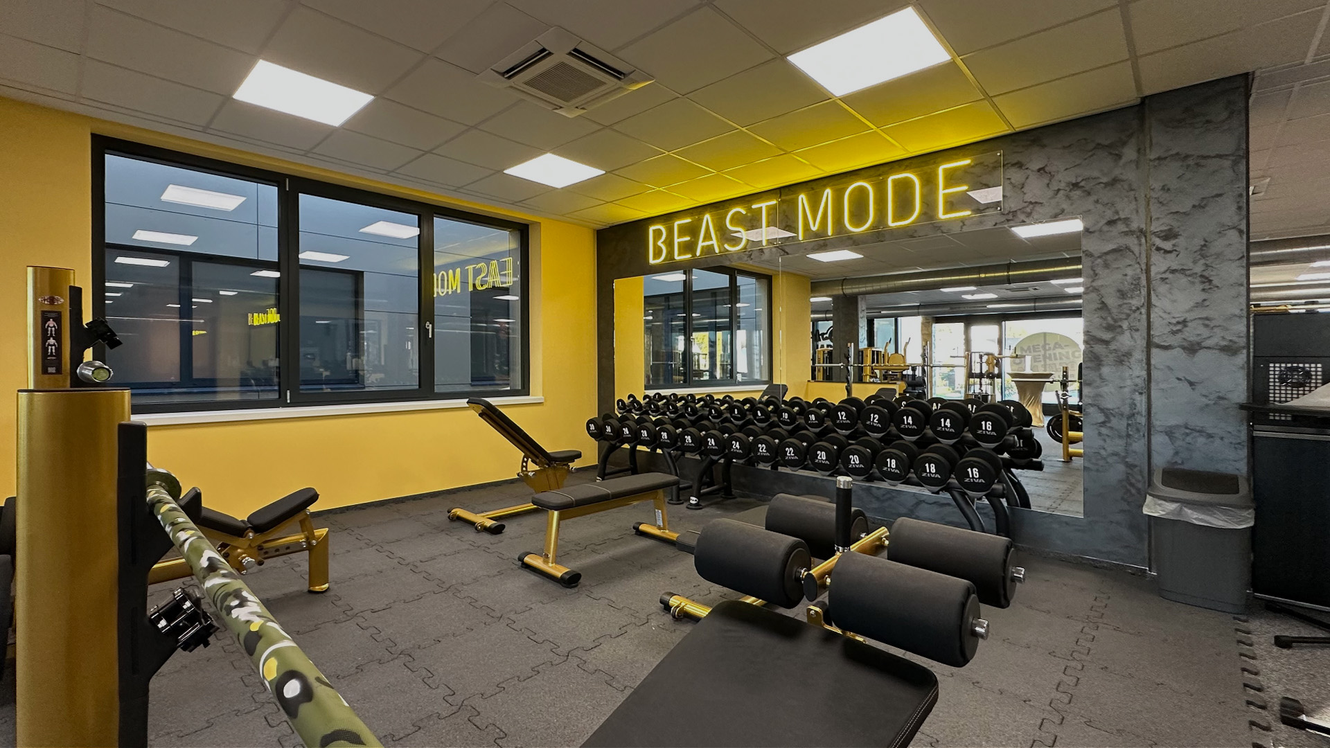 HappyFit Steyregg Freihantelzone