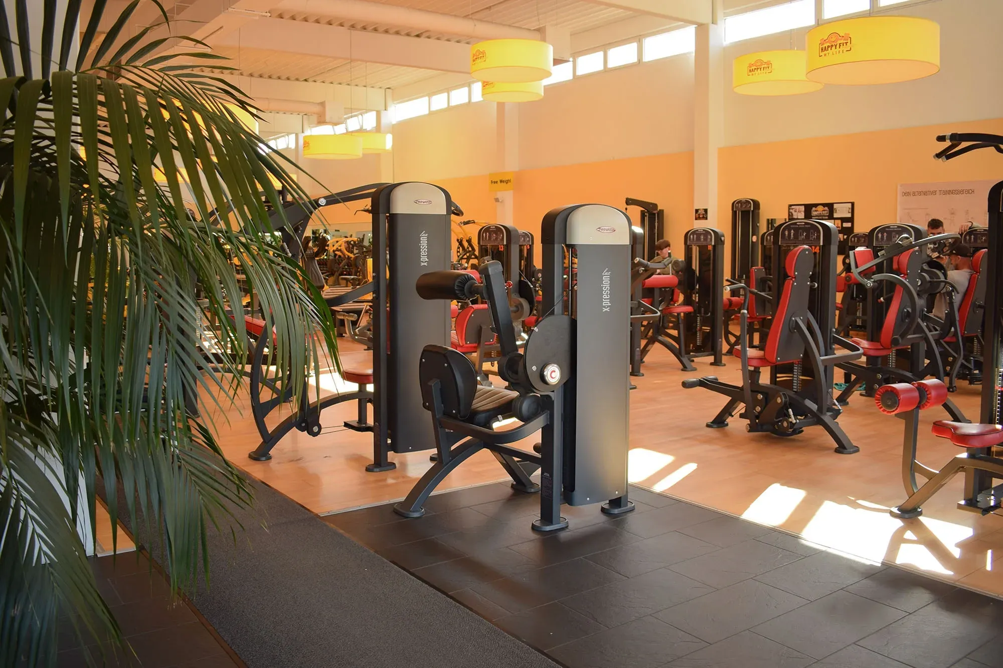 Bous Studiofoto Nr02