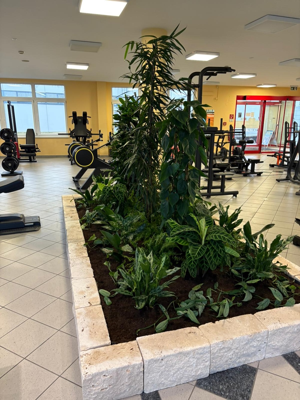 HappyFit Krems Pflanzeninsel