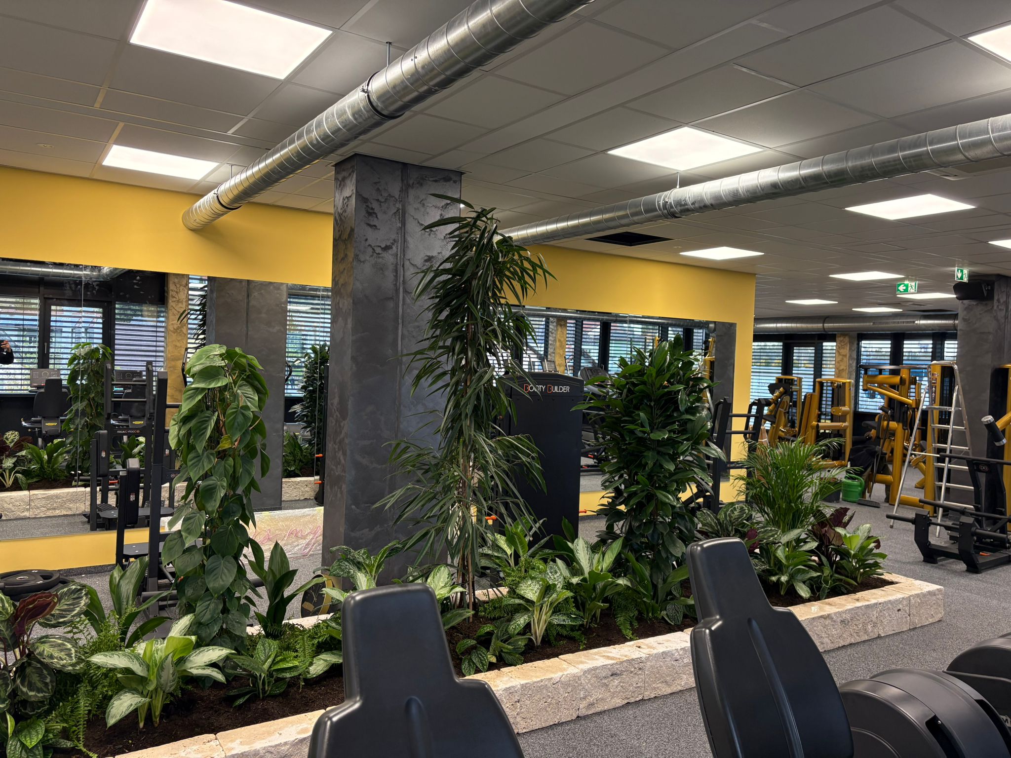 HappyFit Steyregg Pflanzeninsel