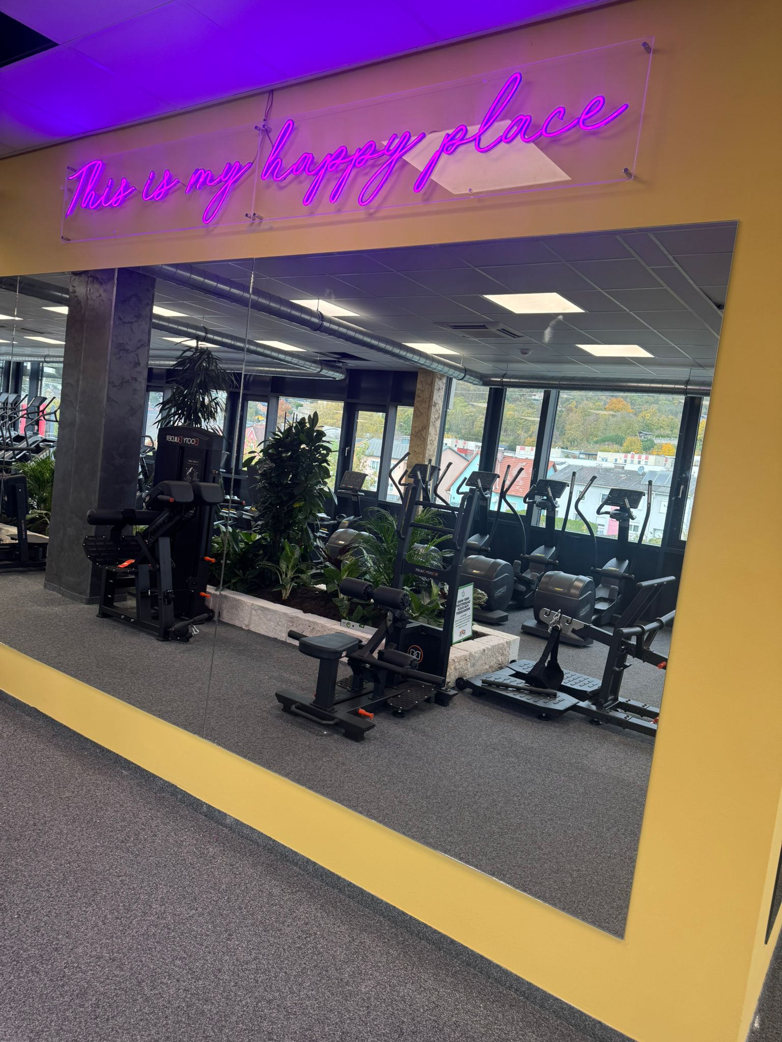 HappyFit Steyregg Trainingsbereich