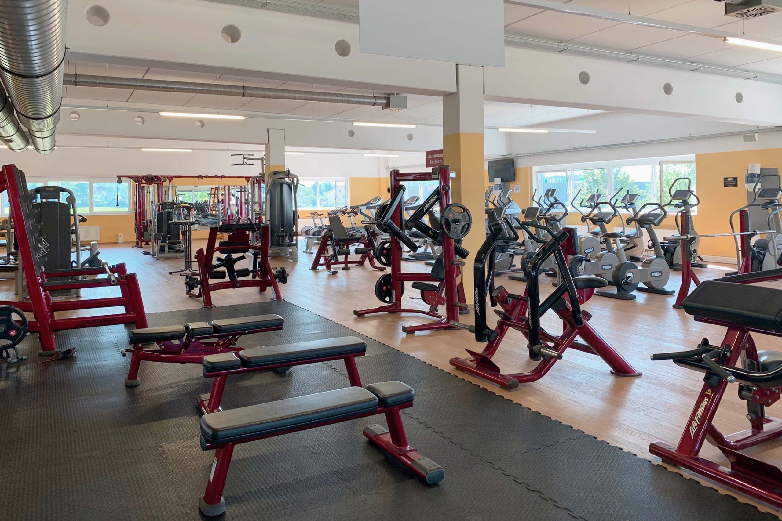 HappyFit Walding Kraftbereich