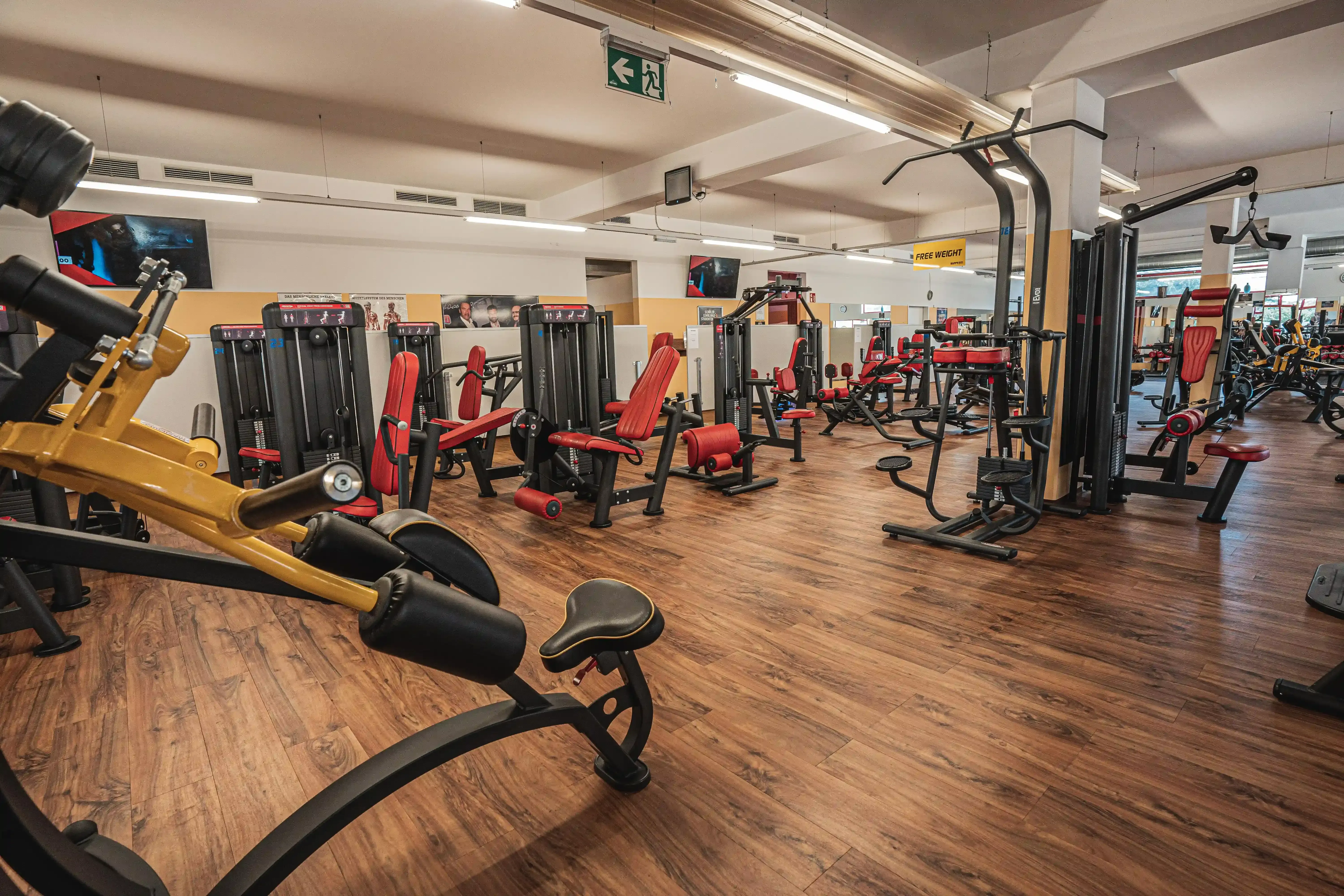 Marchtrenk Studiofoto Nr4