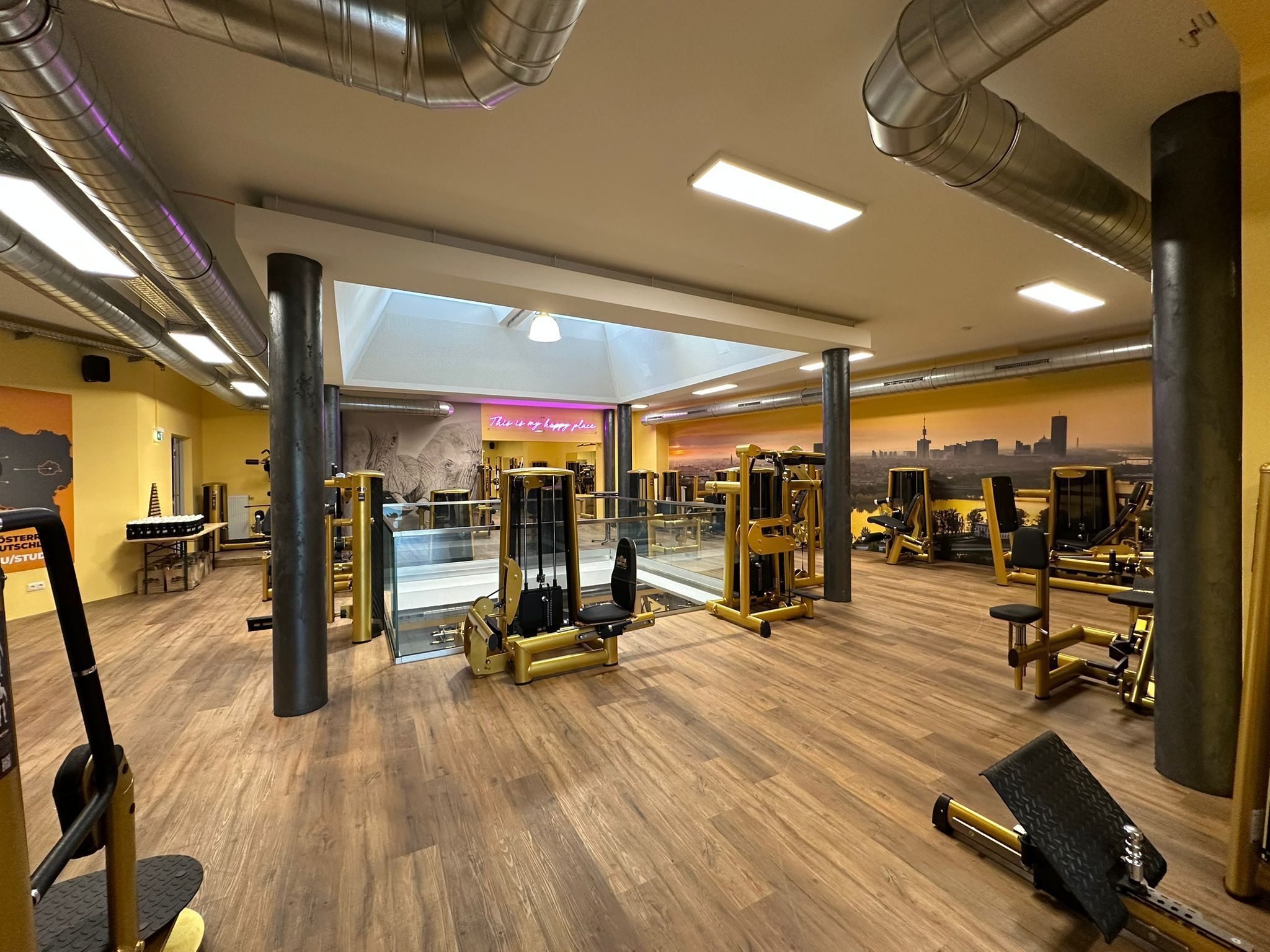 Wien Studio Trainingsfläche Erdgeschoss