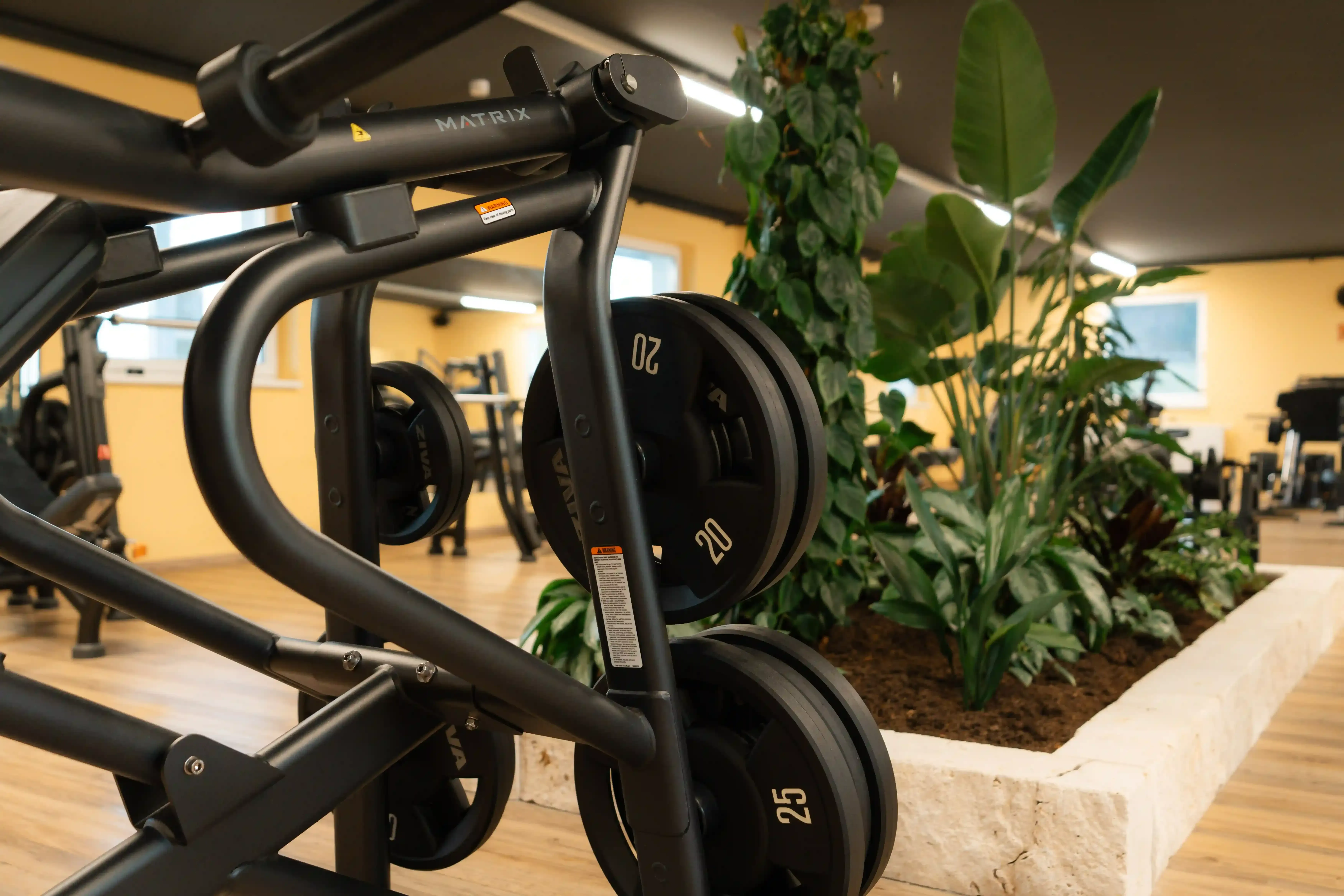 Stkonrad Studiofoto Nr62