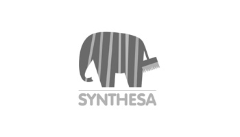 Synthesa Group Logo