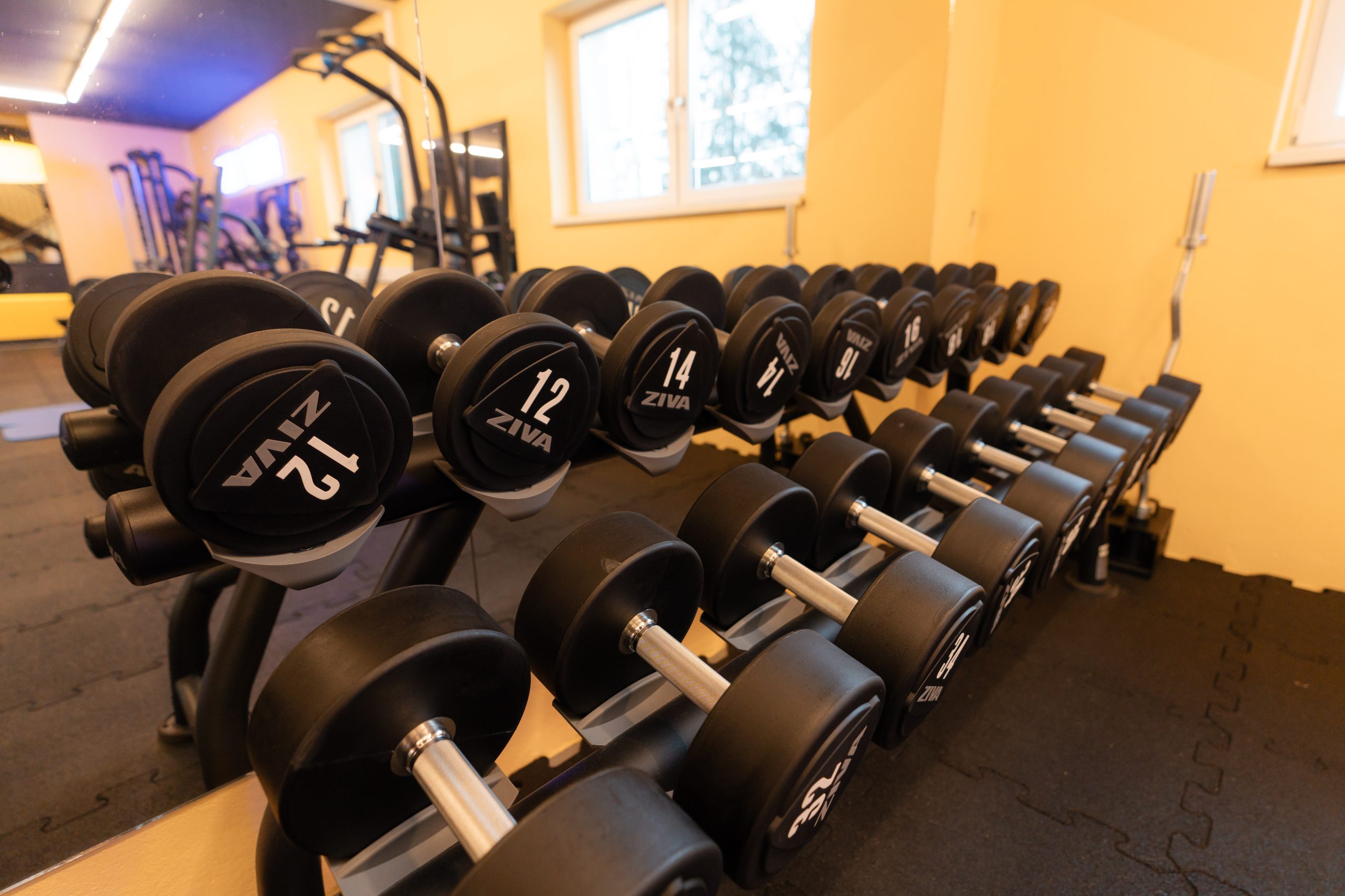 HappyFit St. Konrad - Freeweight-Bereich